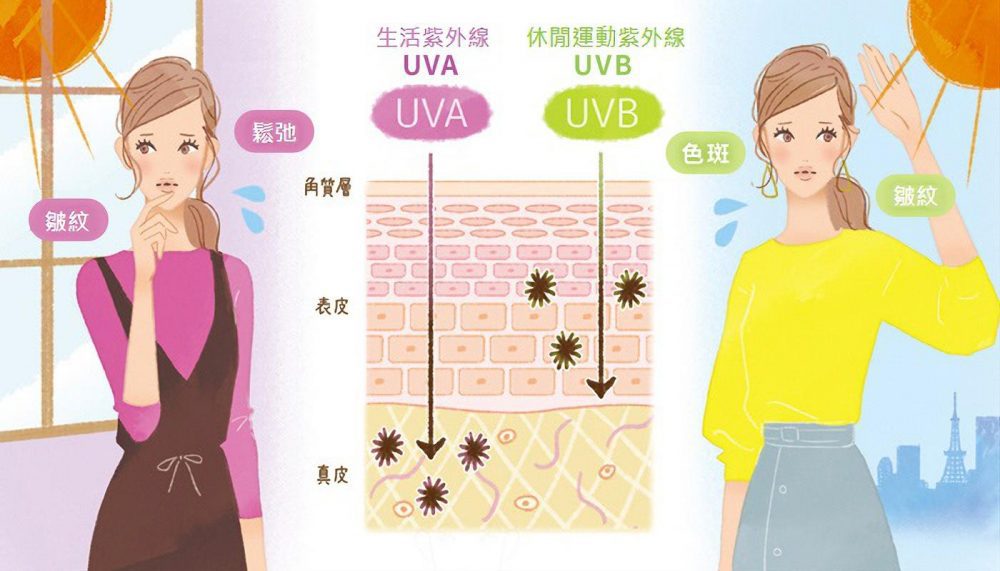 紫外線中分為UVA和UVB
