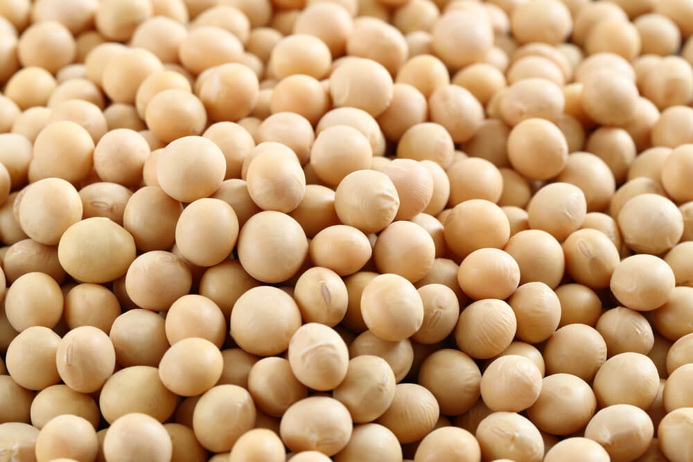 女士可以多吃豆類製品，能增加雌激素，同時做到刺激乳腺發育