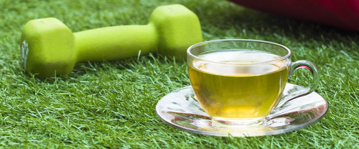 綠茶減肥